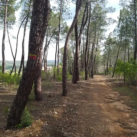 Boavista - Vintage House Monfortinho