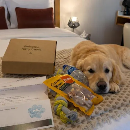 Boavista - Vintage House Hotel Monfortinho