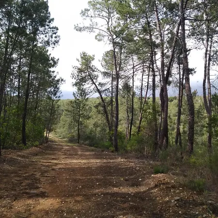 Boavista - Vintage House Szálloda