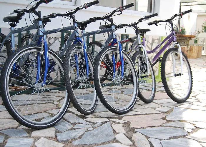 Boavista - Vintage House Отель Монфортинью