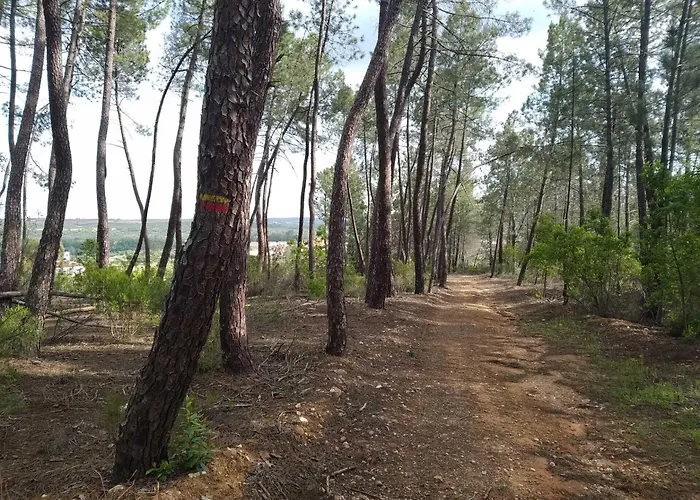 Boavista - Vintage House Монфортинью