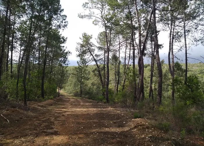 Boavista - Vintage House Hotel